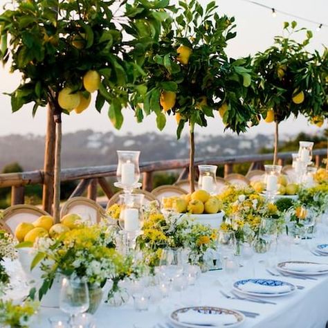 20 BEAUTIFUL SAN DIEGO WEDDING VENUES Tree Themed Wedding, Italian Bridal Showers, Olive Wedding, Italian Theme, San Diego Wedding Venues, Amalfi Coast Wedding, Places To Get Married, Ideal Wedding, San Diego Wedding