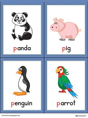 Letter P Words and Pictures Printable Cards: Panda, Pig, Penguin, Parrot (Color) Worksheet.The Letter P Words and Pictures Printable Cards can be used for flashcards, various games, and help your student associate unfamiliar words with a picture. Colorful picture cards for the words: panda, pig, penguin, and parrot. P Words Letter, P For Parrot, Alphabet Word Wall Cards, Letter P Crafts, Alphabet Word Wall, Jolly Phonics Activities, Junior Kindergarten, Color Worksheet, Phonics Flashcards