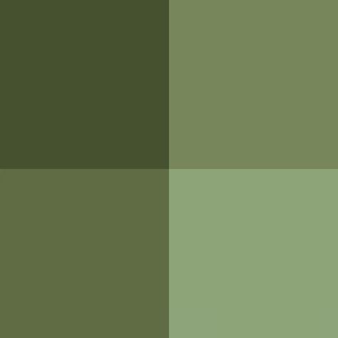 Natural Green Colour Palette, Green Shades Colour Palettes, Icons Verdes Aesthetic, Matcha Colour, Dark Green Palette, Icons Verdes, Types Of Green, Digital Graphics Art, Hazel Color