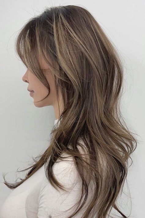 Hush Hairstyle With Balayage Long Layered Brown Hair With Highlights, Shag Wolf Cut Long, The Hush Cut, Wolf Cut Hair Long Straight, Hush Layered Cut, Wolf Cut Blonde Highlights, Long Hush Haircut, Wolfcut With Highlight, Layered Wolf Cut Medium Hair