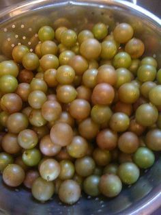 Right off the vine on summer day. So sweet!!! Muscadine Jelly, Grape Arbor, Grape Trellis, Bake Sale Recipes, Grape Jelly, Heirloom Vegetables, Jelly Recipes, Growing Grapes, Sweet Home Alabama