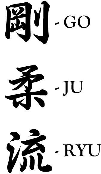 Chinese Pictographs, Karate Tattoos, Karate Picture, Shotokan Karate Kata, Dojo Design, Boxing Tattoos, Okinawan Karate, Goju Ryu Karate, Karate Kata