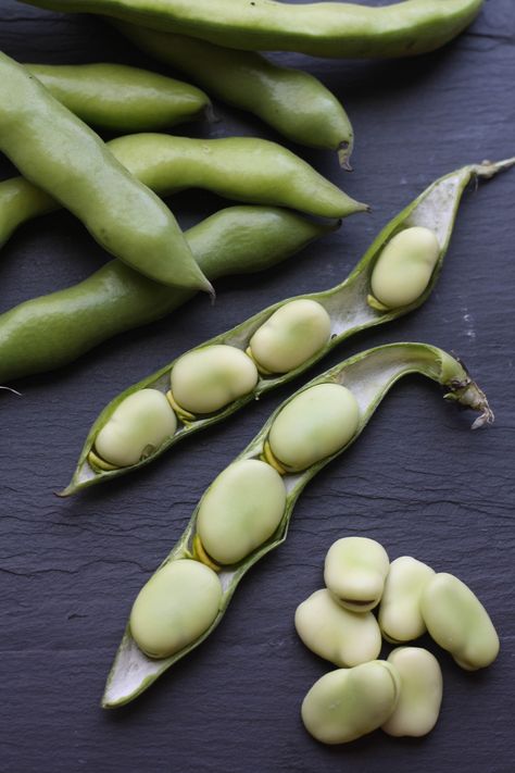 The Easiest Way to Peel Fava Beans — Tips From The Kitchn Broad Beans, Csa Recipes, Drop Of Water, Cooking Advice, Broad Bean, Fava Beans, Ice Water, Peeling Skin, The Ritual