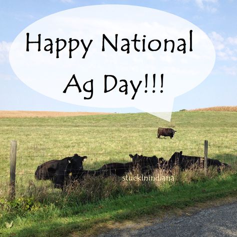 Happy National Ag Day!!! National Ag Day, Ag Day, March 19, Image Search, Quotes, Movie Posters, Film Posters