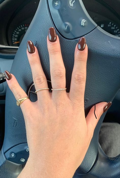 Chocolate Brown Almond Nails, Brown Shellac Nails, Brown Almond Nails, Casual Nails, Nails Colors, Shellac Nails, Chic Nails, Nails Inspo, Nails Ideas