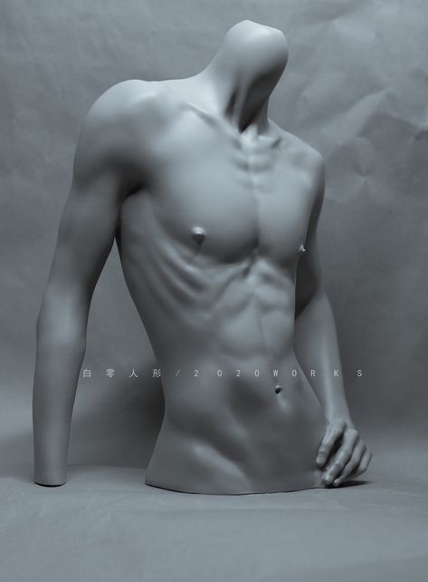 1/3 Male Body Stand Sigma Σ - dollyplanet 남성 근육, Poses Dynamiques, Anatomy Practice, Body Study, Male Torso, Human Anatomy Drawing, 남자 몸, Body Reference Drawing, Anatomy Study