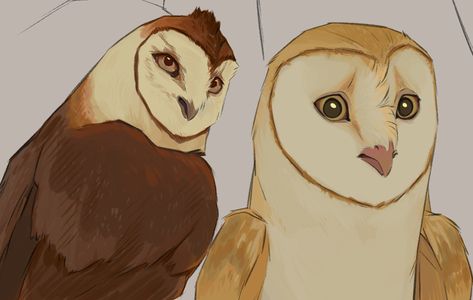 Owl People Character Design, Owl Humanoid, Owl Fursona, Owl Character Design, Owl Character, Guardians Of Ga'hoole, Elf Owl, Owl Sketch, Owl Books