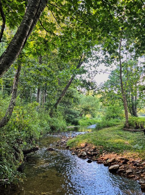 Forest Aesthetic, Camp Half Blood, Nature Aesthetic, Go Outside, Farm Life, Nature Pictures, Summer Aesthetic, Mother Nature, The Great Outdoors