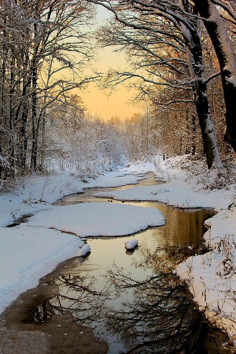 65+ Awesome Winter Landscape Photos « Cuded – Showcase of Art & Design                                                                                                                                                     More Era Victoria, Winter Scenery, Winter Beauty, Snow Scenes, Winter Pictures, Landscape Pictures, Winter Photography, Winter Landscape, Winter Scenes