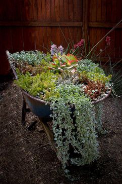 Succulent Wheelbarrow, Awesome Gardens, Wheelbarrow Planter, Succulent Ideas, Creative Planter, Wheelbarrow Garden, Diy Planter, Wheel Barrow, Planter Ideas