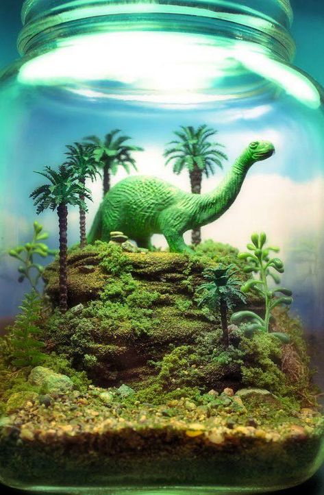 Inspiration: 15 amazing terrarium ideas with moss, ferns, air plants and succulents - Home & Decor Singapore Dinosaur Garden, Aquarium Terrarium, Deco Nature, Types Of Succulents, Garden Terrarium, Terraria, Succulent Terrarium, A Dinosaur, Tall Plants