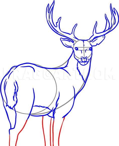 Deer Sketch Simple, Christmas Deer Drawing, How To Draw A Deer, Drawing A Deer, Draw Deer, Draw A Deer, Deer Outline, Sketches Landscape, Deer Images