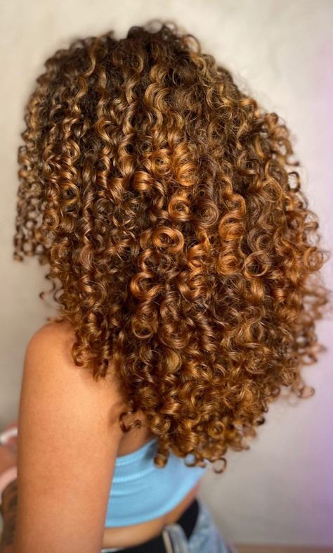 Butterscotch Hair Color Curly, Caramel Curly Hair Honey Natural Curls, Butterscotch Hair, Long Natural Curly Hair, Curly Afro Hair, Curly Hair Accessories, Highlights Curly Hair, Honey Brown Hair, Cute Curly Hairstyles