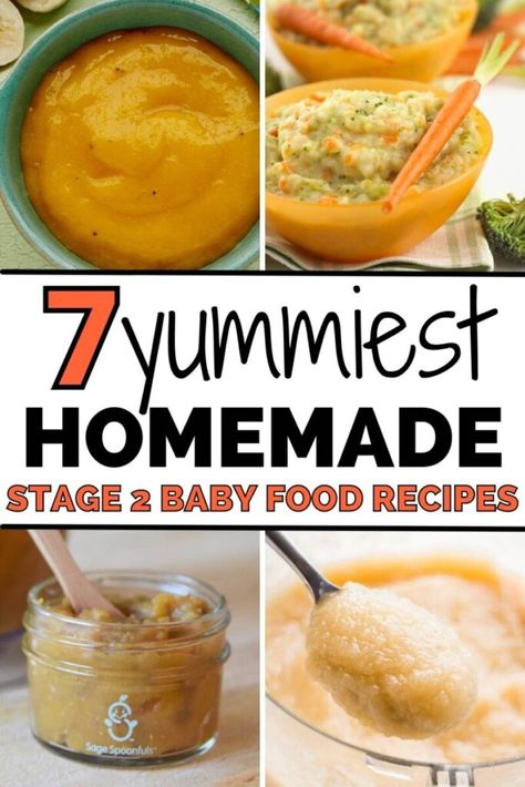 7 Easy Stage 2 Homemade Baby Food Recipes 6-9 Months Baby Puree Recipes Stage 2, Stage 2 Baby Food Recipes, 7 Month Old Baby Food, 9 Month Old Baby Food, Green Bean Baby Food, 7 Months Baby Food, 9 Month Baby Food, Baby Food Recipes Stage 1, Stage 2 Baby Food