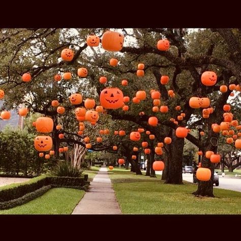 🎃🎃🎃🎃 Goals! Never even thought to do this. Having a giant tree in the front would really help...hence, goals. But seriously cool though I… Labu Halloween, Diy Halloween Dekoration, Moldes Halloween, Dekorasi Halloween, Halloween Decorations Ideas, Halloween Decor Diy, Casa Halloween, Halloween Memes, Holiday Deco