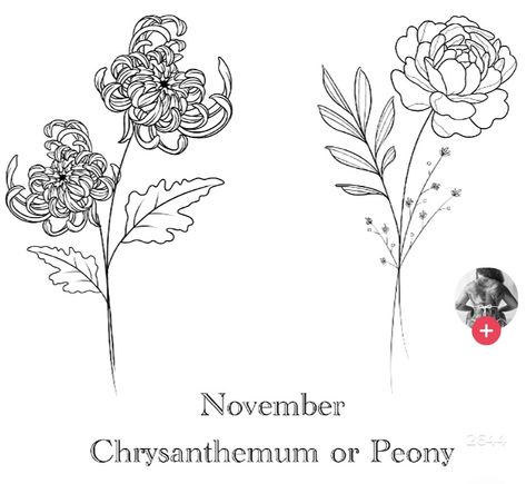 November Birth Flower Tattoo Peony, Chrysanthemum Peony Tattoo, Crysanthemum Tattoo Design Fine Line, Crythanthimum Tattoo Design, Chrysanthemum And Peony Tattoo, Peony Tattoo Simple, Peony Fine Line Tattoo, Crysanthemum Tattoo Simple, Chrysanthemum Tattoo Design