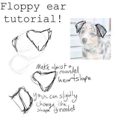 Dog Ear Reference, Puppy Ears Drawing, Species Oc, Dog Ears Drawing, Canine Drawing, Cat Drawing Tutorial, Creative Drawing Prompts, Canine Art, Art Tools Drawing