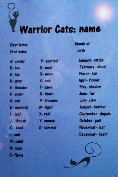 What is your warrior cat name?-Mine's Cinderleaf, which is cool since the second part is the same as the second part in my role-play! Your Warrior Cat Name, Warrior Cats Name Generator, Warrior Cat Names, Birthday Scenario, Warrior Names, Warrior Cats Series, Serval Cats, Warrior Cats Books, Love Warriors