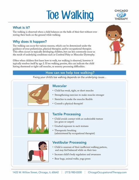 Occupational Therapy Infographic Sheets - Chicago Occupational Therapy Wilbarger Brushing Protocol Handout, Toe Walking Interventions, Walking Infographic, Therapy Infographic, Sensory Integration Activities, Occupational Therapy Schools, Pediatric Physical Therapy Activities, Pediatric Pt, Occupational Therapy Kids