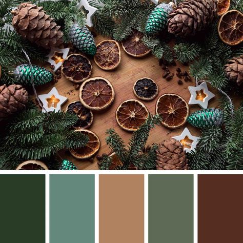 Christmas Trees Color Schemes, Trending Color Pallets 2024, 2023 Christmas Color Palette, Christmas 2024 Color Trends, Christmas 2024 Colors Trends, Winter 2023 Color Palette, Holiday 2024 Color Trends, Trending Christmas Colors 2024, Christmas2023 Trends