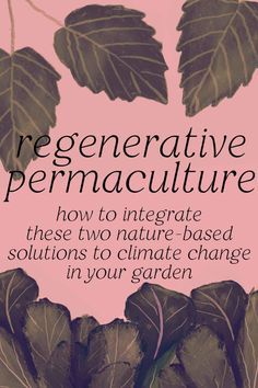 Learn how permaculture and regenerative gardening techniques work together in our full guide to integrating these two nature-based solutions to climate change in your backyard. Regenerative Gardening At Home, Permaculture Layout, Regenerative Gardening, Permaculture Garden, Gardening Indoors, Community Ideas, Regenerative Farming, Intentional Community, Backyard Layout