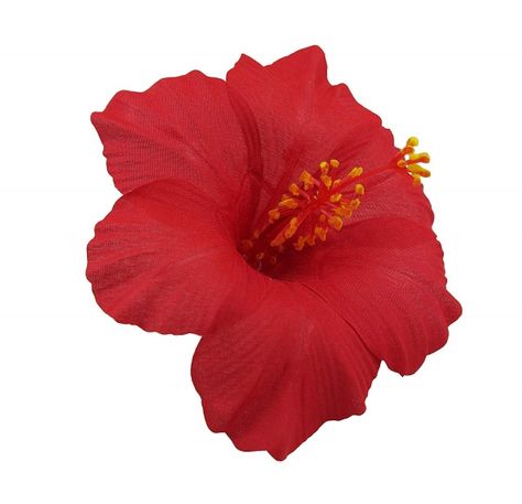 Hibiscus Flower Hair Clip, Flower In Hair Aesthetic, Aesthetic Illustrations, Hawaiian Flower Hair, Flower In Hair, Aesthetic Hawaii, Hawaii Packing, Grass Painting, Hawaiian Hibiscus