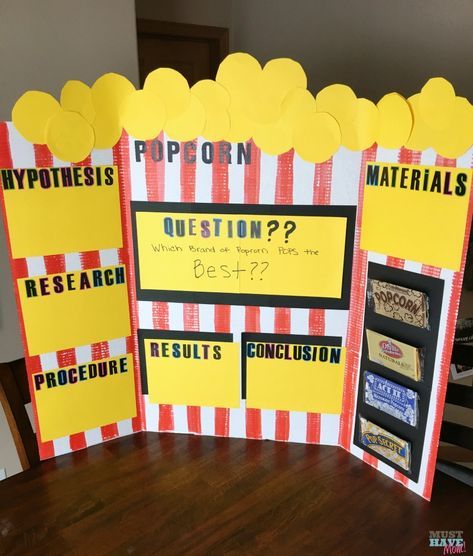 5 easy science fair projects that anyone can pull off! Popcorn science fair experiment with step by step directions too! These elementary science projects use a tri fold board. Popcorn Science Fair Project, Popcorn Science, Elementary Science Projects, Kids Science Fair Projects, Easy Science Fair Projects, Elementary Science Fair Projects, Science Fair Board, Science Fair Experiments, Science Fair Projects Boards