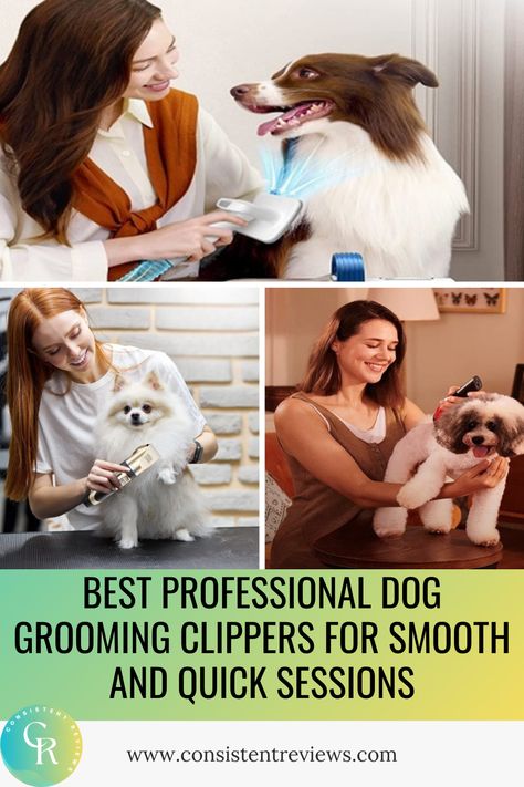 Browse the finest professional dog grooming clippers. Enhance your pet's grooming experience with our detailed guide. Dive in today! Dog Grooming Clippers, Grooming Tools, Pet Grooming, Dog Grooming, Dive In, Diving, To Look, Tools, Dogs