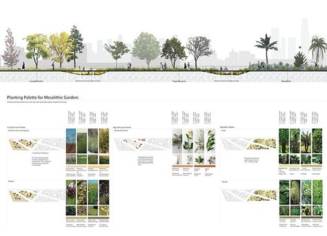 Planting Legend and Base Plan on Behance Landscape Architecture Section, Landscape Diagram, Landscape Architecture Diagram, Landscape Architecture Graphics, Green Corridor, Urban Design Graphics, Landscape Architecture Drawing, Architecture Portfolio Design, Architecture Presentation Board