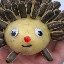 Potato Art, Hedgehog Craft, Melon Seeds, Paper Craft Ideas, Art Paper Craft, December 22, Creative Kids, Teaching Kids, Creative Ideas