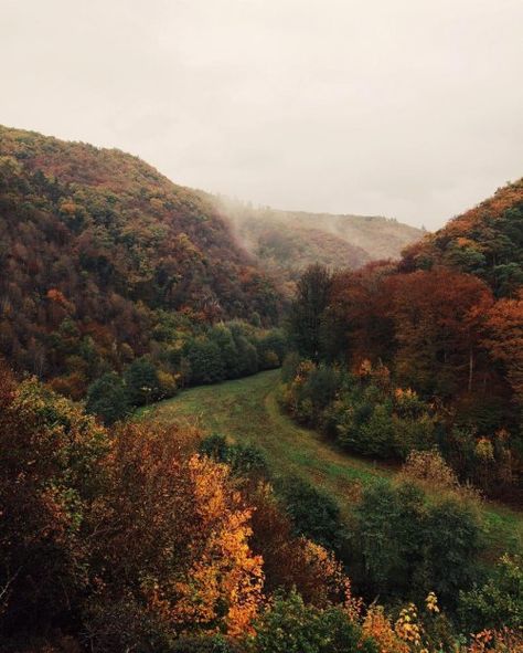 #MountScenery Temperate broadleaf and mixed forest, #Shrubland #Tree #Biome Woodland, Vegetation, Deciduous - Follow #extremegentleman for more pics like this! Deciduous Forest Biome, Temperate Deciduous Forest, Biomes Project, Deciduous Forest, Fantastic Voyage, Most Beautiful Images, Hero's Journey, World Images, Amazing Nature Photos