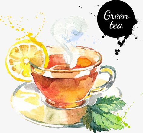 green tea,Hand Painted,cup,watercolor,green vector,tea vector,cup vector Tee Illustration, Tee Kunst, Food Art Painting, Tea Illustration, Fruits Drawing, Food Sketch, Food Illustration Art, Watercolor Food, Kunst Inspiration