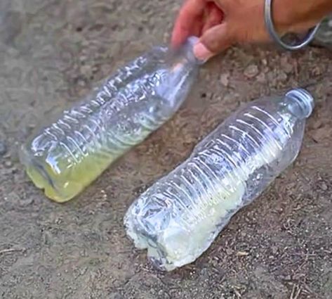 Easy DIY Recycled Ant Trap Tutorial Diy Ant Trap Indoor, Ant Trap Diy, Ant Traps Homemade, Diy Ant Trap, Borax For Ants, Home Remedies For Ants, Outdoor Candle Holders, Ant Colony, Kill Ants