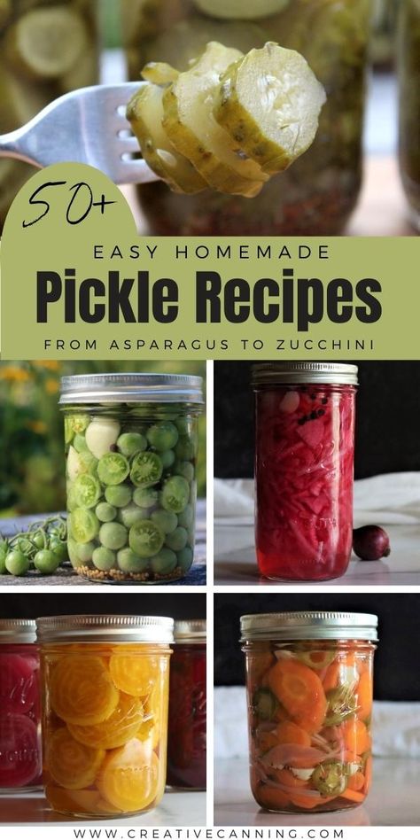 Veggies To Pickle, Pickles Vegetables Recipe, Things You Can Pickle, Pickled Asparagus Recipe, Zucchini Pickles Recipes, Pickled Zucchini Recipes, Pickled Zucchini, Pickled Zucchini Refrigerator, Pickled Asparagus Recipe Canning