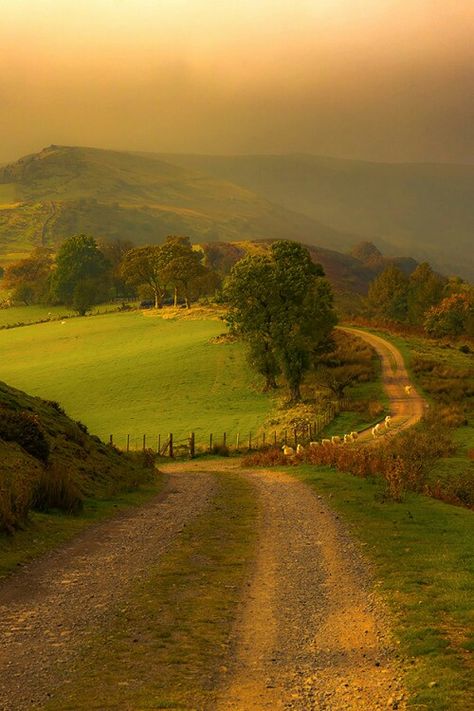 Country road Dirt Road, In The Middle, The Middle, Lush, Trees, Road, Green