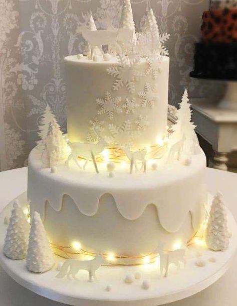 New Year Cake Design 2024, New Year Cake 2024, Crismas Cake, Winter Cakes Birthday, Winter Baby Shower Cake, Winter Onederland Cake, Mini Christmas Cakes, New Year Cake, Quince Cake