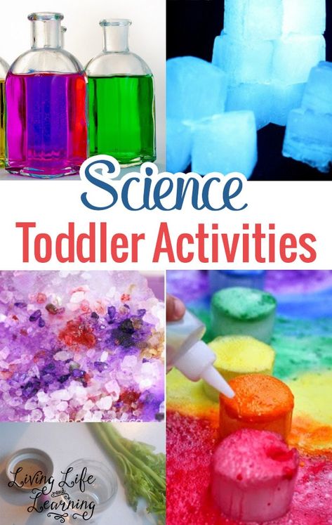 Science Activities For Toddlers, Toddler Stem, Science For Toddlers, Space Activities, Science Activities For Kids, Job Ideas, Toddler Snacks, Preschool Science, Activities For Toddlers