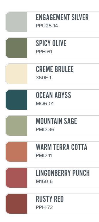 Rust and sage green colour palette Bedroom Color Schemes Green, Green Color Palette Living Room, Sage Green Colour Palette, Sage Living Room, Sage Color Palette, Green Exterior House Colors, Sage Green Colour, Apartment Color Schemes, Color Palette Interior Design