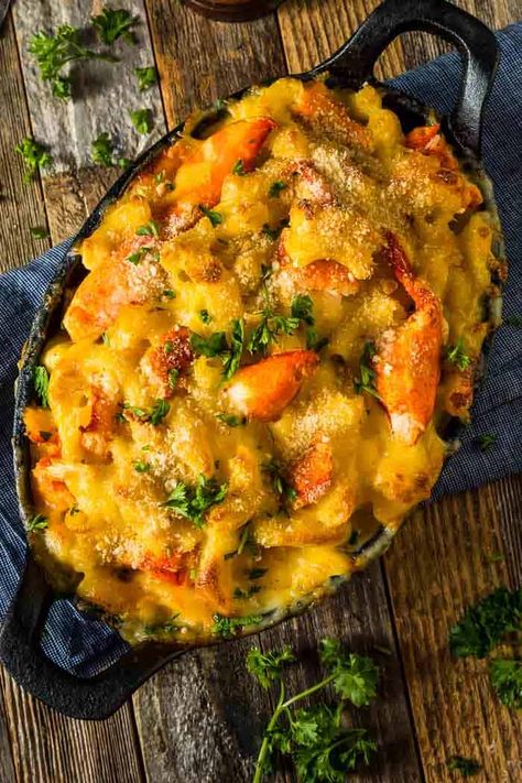 This Seafood Mac and Cheese is ultra creamy with two types of cheese and loaded with your favorite seafood, all baked together to golden brown perfection. Try it with lobster, shrimp, or crab - or all three! #thewickednoodle #seafoodmacandcheese #lobstermacandcheese Seafood Mac And Cheese Recipe, Lobster Mac N Cheese Recipe, Seafood Mac And Cheese, Crab Mac And Cheese, Lobster Mac, Lobster Mac And Cheese, Lobster Recipes, Mac And Cheese Recipe, Seafood Salad