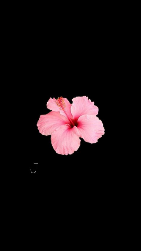 J Flower Wallpaper, Matching Wallpaper Pc, A J Wallpaper, Jj Background, J Initial Wallpaper, J Wallpaper Letter, Flower Wallpaper Backgrounds, J Wallpaper Letter Iphone Aesthetic, Flower Backround