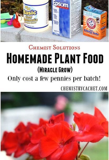 Homemade Plant Food For Flowers, Diy Plant Food, Plant Food Diy, Homemade Plant Food, Miracle Grow, Fertilizer For Plants, Garden Help, Epsom Salt, Diy Plants