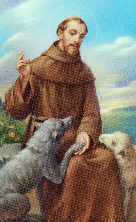 St. Francis of Assisi St Francis Of Assisi Images, Francis Of Assisi Art, St. Francis, Francis Assisi, St Kateri, Kateri Tekakwitha, St Francis Assisi, Saint Francis Of Assisi, Patron Saint Of Animals