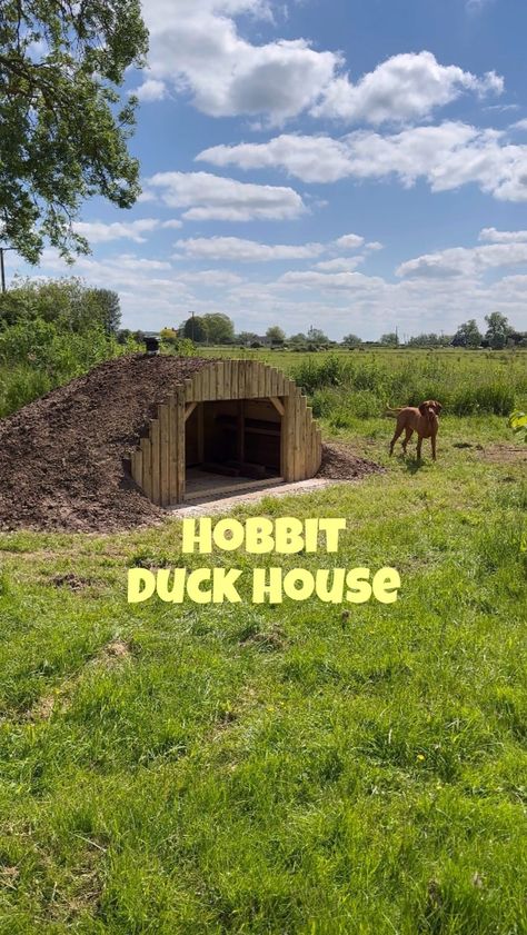 Jess Gough | Any name suggestions for the ducks? 😅 Here’s how we built our hobbit-inspired duck home. We cut some reclaimed plywood into a semi-circle... | Instagram Duck House By Pond, Duck Pond Backyard, Geese House Ideas, Duck House Ideas, Duck Ramp, Goose Coop, Duck Pond Ideas, Duck Coop Ideas, Duck House Plans