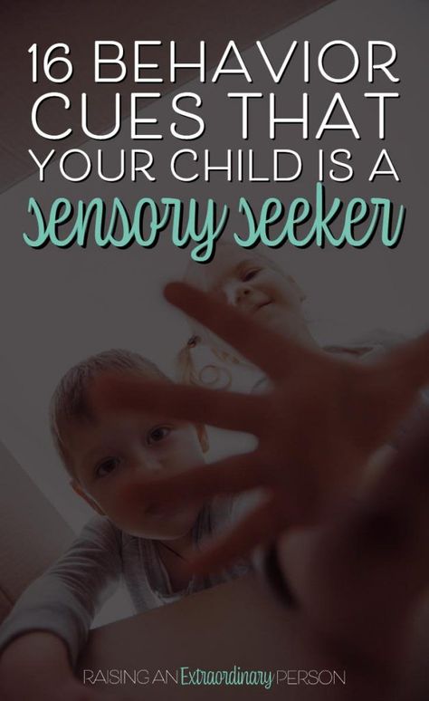 Sensory Seeking Behavior, Sensory Seeking, Sensory Seeker, Sensory Disorder, Sensory Input, Sensory Therapy, Toddler Development, Sensory Processing Disorder, Kids Sensory