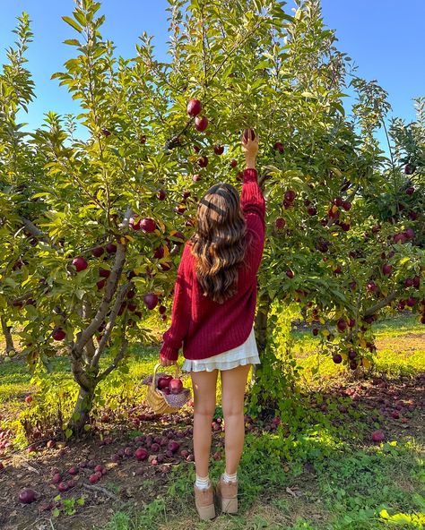 the apple to my pie🍎🧺🍁🤎 #fallaesthetic #fallvibes #falloutfit #falloutfits #fallfashion #fallseason #fallstyle #applepicking #appleorchard Tree Decoration Ideas, Fashion Fails, Fall Inspo, Fall Photoshoot, Fall Feels, Fall Fits, Fall Pictures, Best Seasons, Autumn Cozy