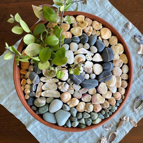 Callista 💫 on Instagram: “finally came up with a better way to display all my rocks! Dusting the windowsills is much easier now 🤗✨” Ways To Display Rock Collection, Rock Collection Display Ideas, Displaying Rocks, How To Display Rocks, Rock Display Ideas Diy, Rock Display Ideas, Display Rocks, Rock Collection Display, Rock Display