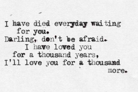 I have loved you for 1000 days You Are My Moon, Christina Perri, A Thousand Years, The Twilight Saga, Lyric Quotes, The Words, Beautiful Words, Inspire Me, Love Songs