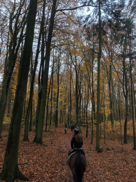 Fall Horseback Riding, Horse Riding In The Woods, Horse Riding Astethic, Forest Horse Riding, Fall Horse Riding, Equestrian Fall Aesthetic, Autumn Equestrian Aesthetic, Autumn Horse Aesthetic, Fall Horse Aesthetic