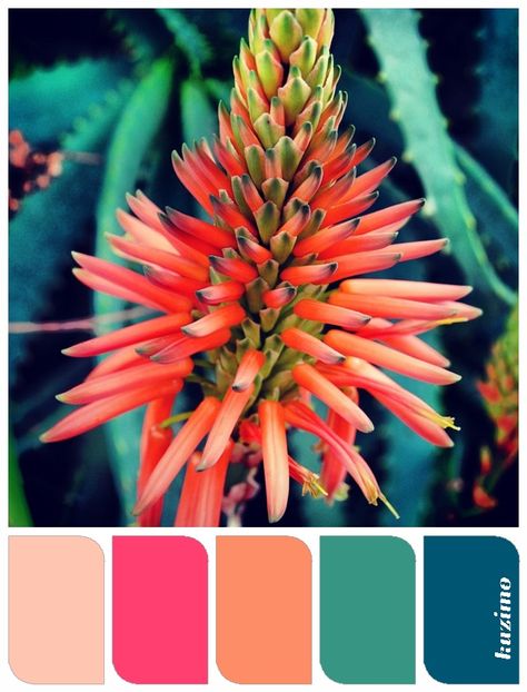 Exotic Flower Colours That Go Together, Color Schemes Colour Palettes, Tropical Colors, Design Seeds, Color Palette Design, Colour Palettes, Color Stories, Exotic Flowers, Colour Schemes