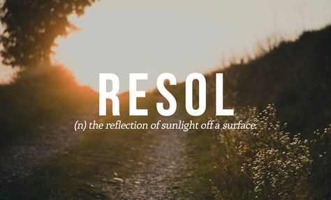 23 Perfect Spanish Words We Need In English Beautiful Spanish Words, Quotes Spanish, Nature Words, Unique Words Definitions, Beauty Words, Words That Describe Feelings, Uncommon Words, One Word Quotes, Weird Words